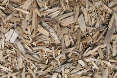 biomass boilers Biddulph